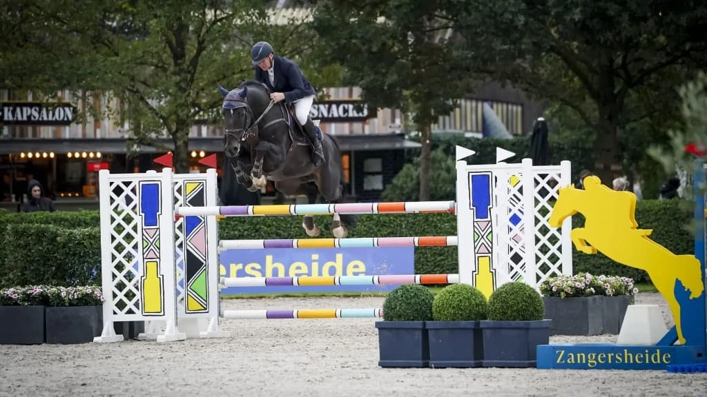 Castilly BTB clearing a colourful fence at an international show jumping competition