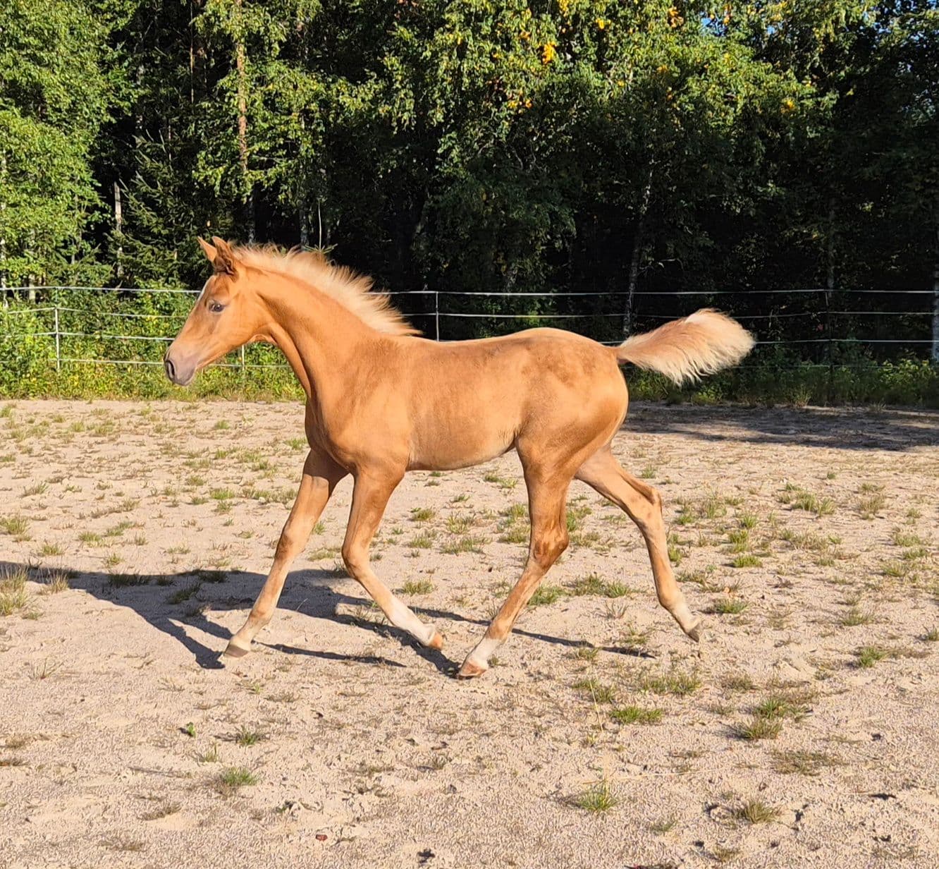 ERP'S Hermanita